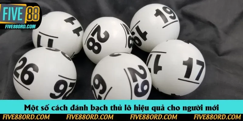 Một số cách đánh bạch thủ lô hiệu quả cho người mới