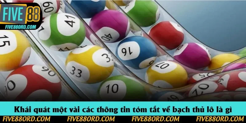 Khái quát một vài các thông tin tóm tắt về bạch thủ lô là gì