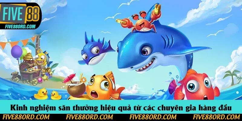 Kinh nghiệm săn thưởng hiệu quả từ các chuyên gia hàng đầu