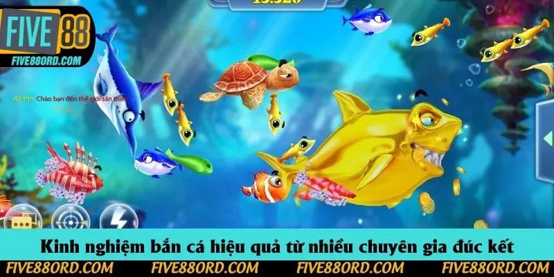 Kinh nghiệm bắn cá hiệu quả từ nhiều chuyên gia đúc kết