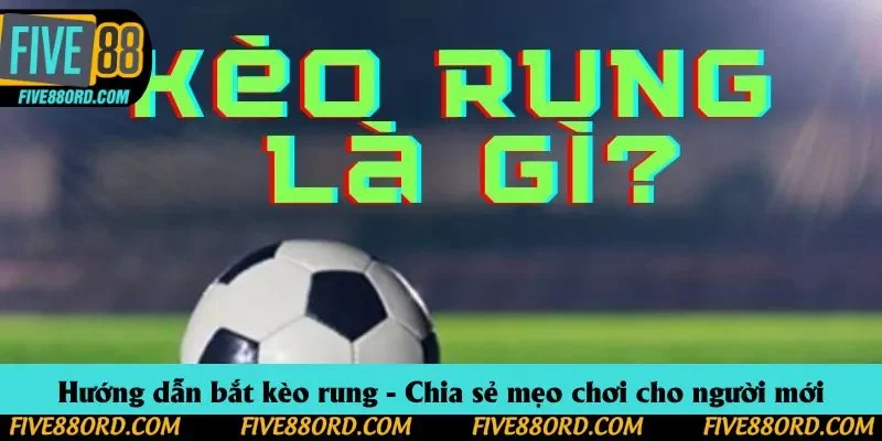 Hướng dẫn bắt kèo rung