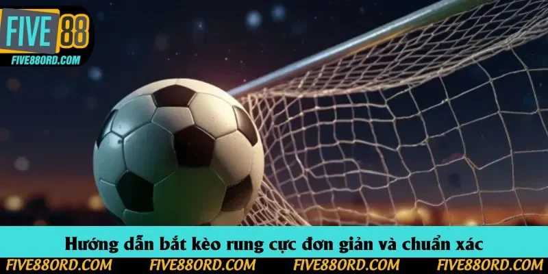 Hướng dẫn bắt kèo rung cực đơn giản và chuẩn xác